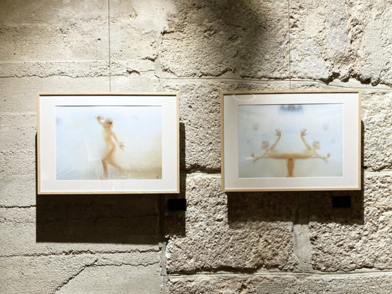 Vernissage Kulturbogen