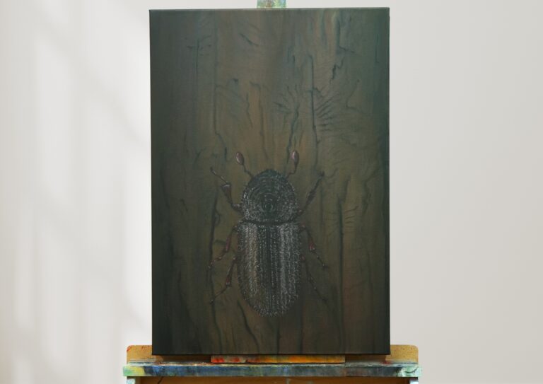 Niedergang N°5, 80 x 55, 2025